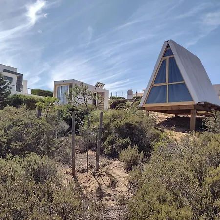 Vicentine Coast Art *